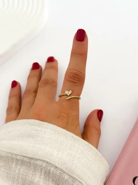 ANILLO DAN511