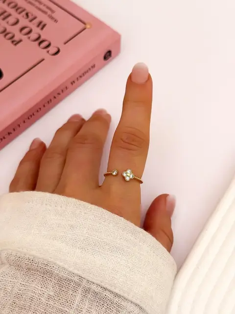 ANILLO REGULABLE DAN660