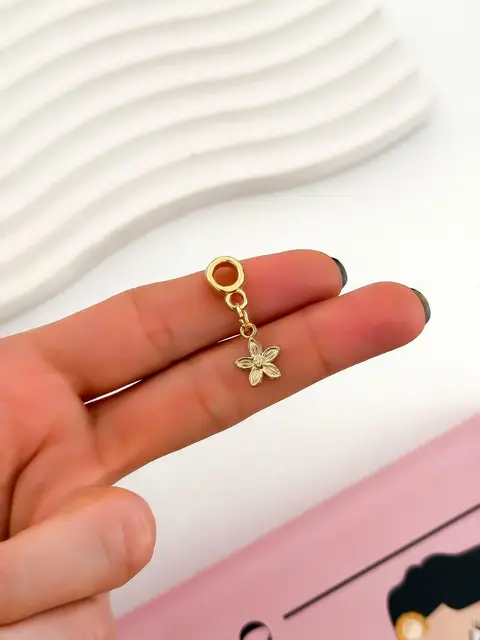 CHARMS CH201