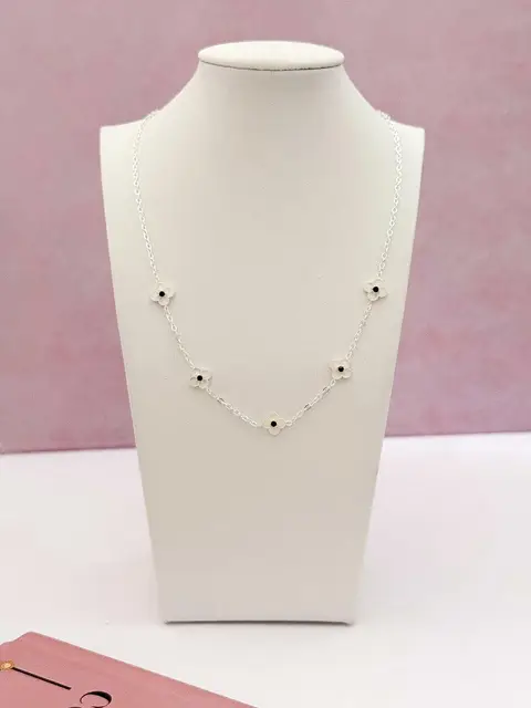 COLLAR BCO2703