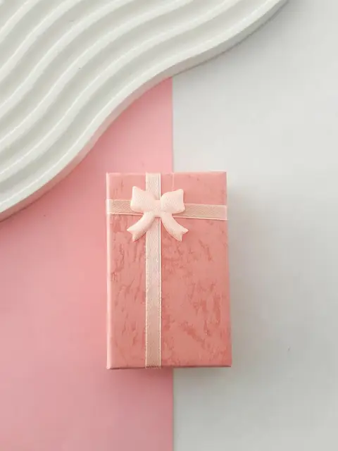 Pack x3 ESTUCHE SALMON PA115