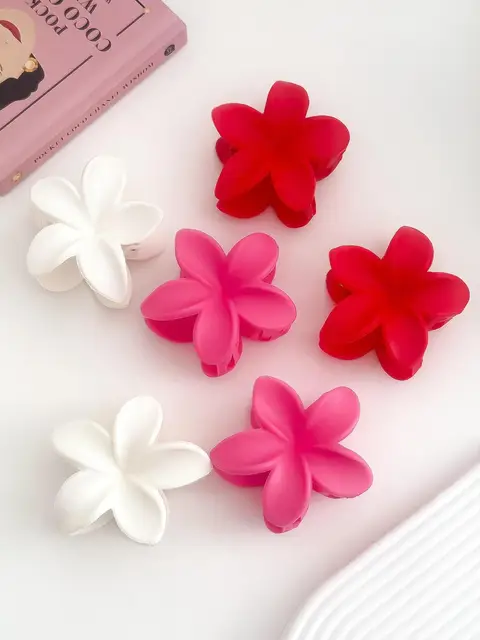 PACK X6 BROCHES PA998