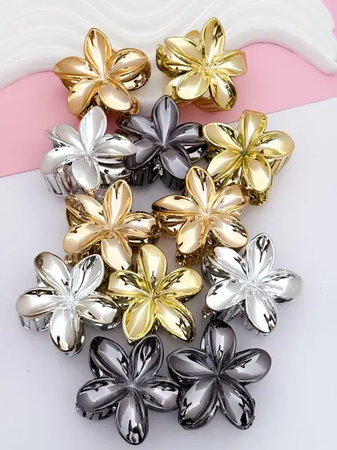 PACK X 12 BROCHES COL452