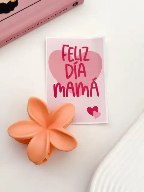 SET BROCHE + CARTON PA750