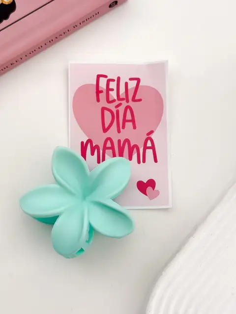 SET BROCHE + CARTON PA751