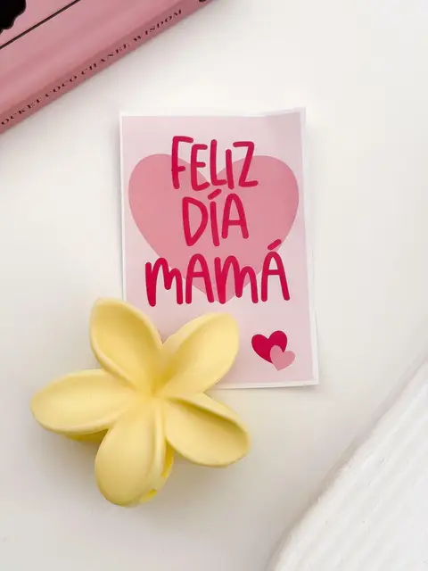 SET BROCHE + CARTON PA755