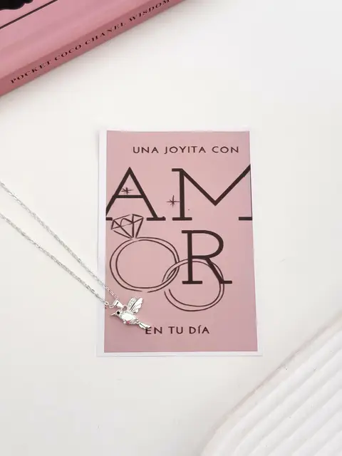 SET COLLAR + CARTON PA781