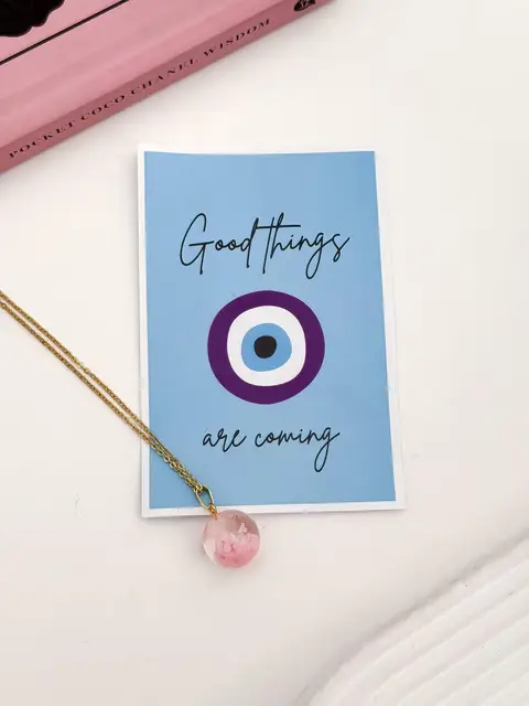 SET COLLAR + CARTON PA800