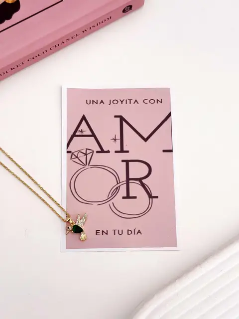 SET COLLAR + CARTON PA808