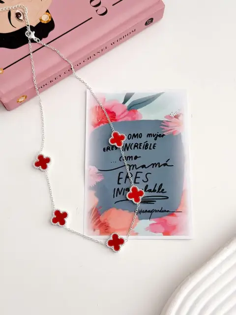 SET COLLAR + CARTON PA904